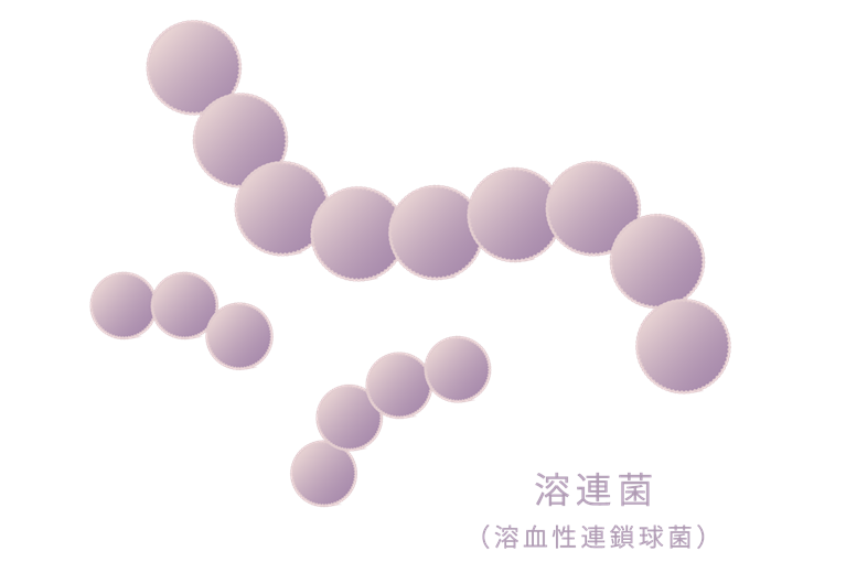 子どもの溶連菌に気づかず放置…溶連菌感染症とは